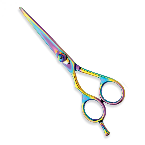 Professional hair Cutting Scissors