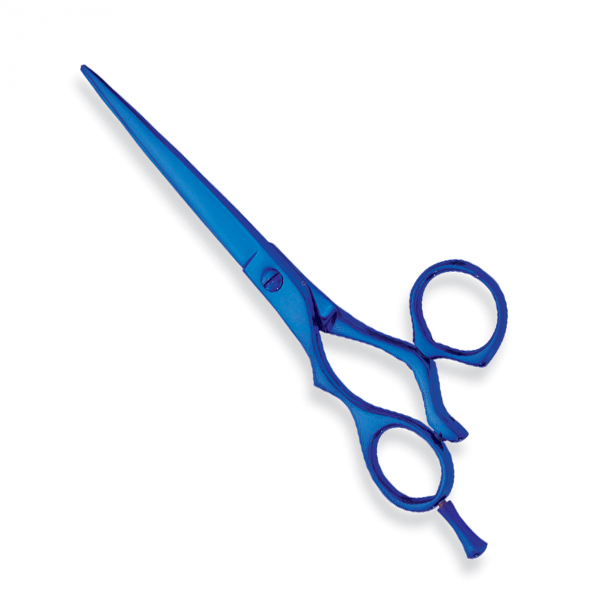 Professional hair Cutting Scissors