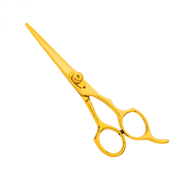 Professional hair Cutting Scissors